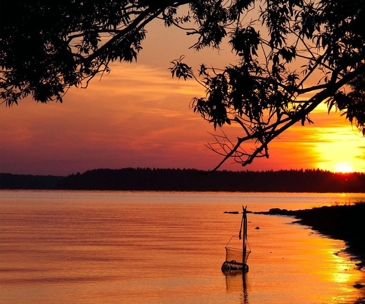 Sessão de planejamento em um acampamento à beira do lago